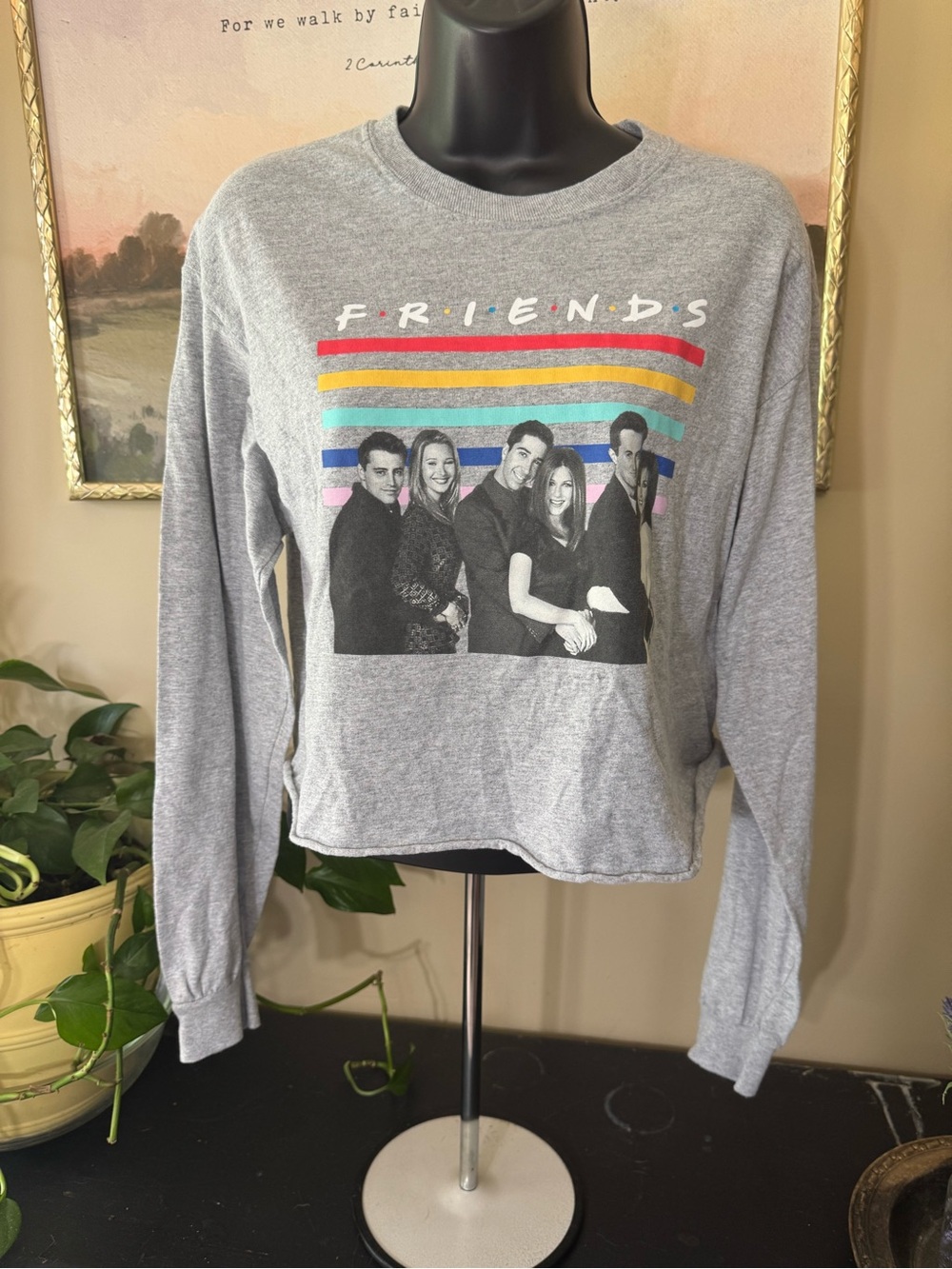 FRIENDS Gray Cropped T-shirt with Rainbow Stripe Graphic